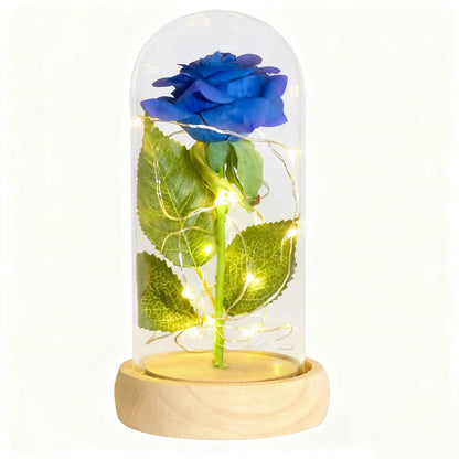Gifts for Her Beauty and the Beast Eternal Rose in Glass Dome Artificial Forever Flower LED Light Mothers Day Gifts for Women